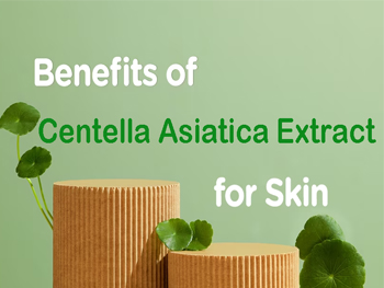 What Does Centella Asiatica Extract Do For Skin